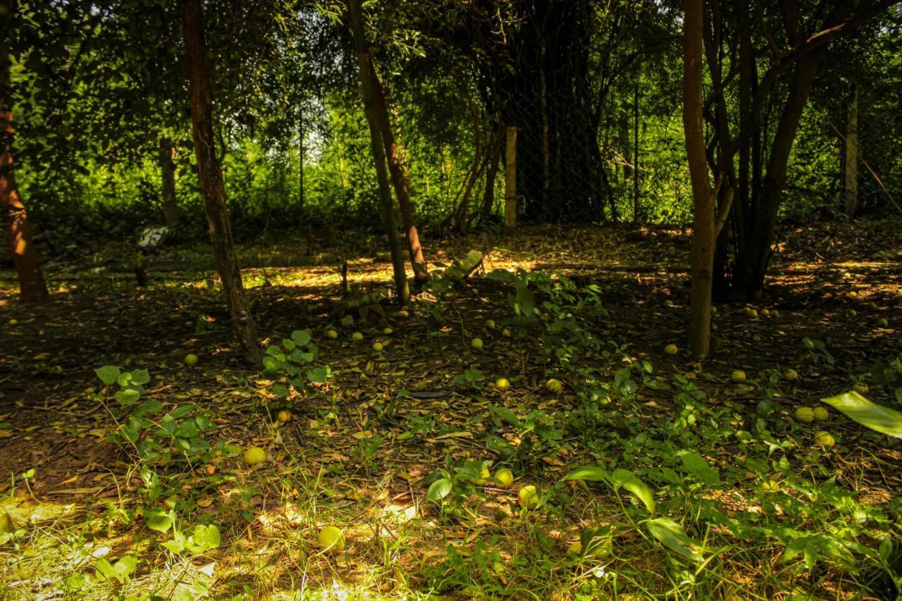 Panna Tiger Resort- Riverside Property Rājgarh Dış mekan fotoğraf