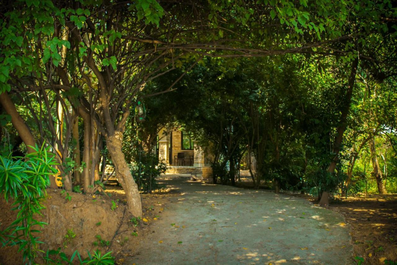 Panna Tiger Resort- Riverside Property Rājgarh Dış mekan fotoğraf